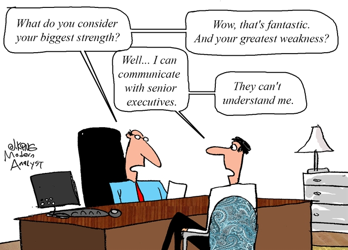Humor - Cartoon: Business Analyst Interview